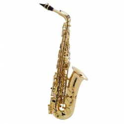 Selmer AXOS ALTO SAX  саксофон-альт студенческий, золотой лак, с гравировкой, футляр с кейсом