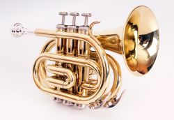 FLT-PT-L Труба компактная, Bb-key, лакированная, цвет - золото. Conductor