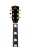 <h2>Акустическая гитара Sigma GJA-SG200+</h2>