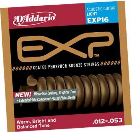 D'ADDARIO EXP16