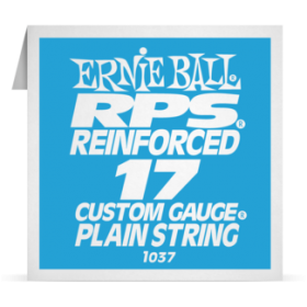 Ernie Ball P01037