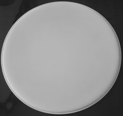 FDH-25WC-24 Пластик для бас-барабана 24", белый, с покрытием, Foix