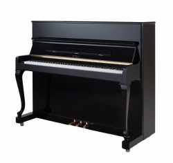 Petrof P 118D1(0801)  пианино, цвет черный, полированное
