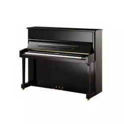Pearl River T2 (A111)  пианино 120см, цвет черный полированное