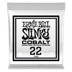 Ernie Ball P10422