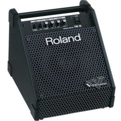 Сценический монитор ROLAND PM-10