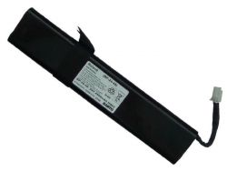 Roland FR-5 BATTERY PACK