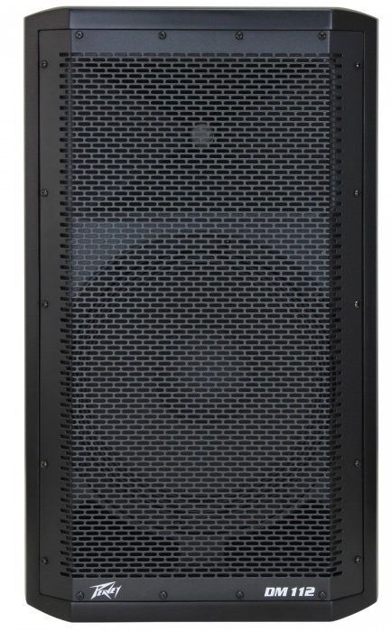 Peavey dm 112 top