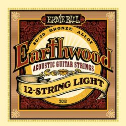 P02010 Earthwood Light 9-46, Ernie Ball
