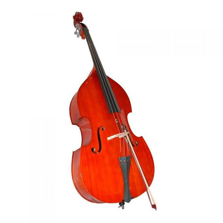 Контрабас струнный музыкальный инструмент. Скрипач альтист виолончелист контрабас. Микеле тодини контрабас. Виолончель. Микеле тодини контрабас.