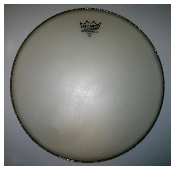 Remo SA-0014-SS  14"Renaissance ambassador, нижний пластик для барабана