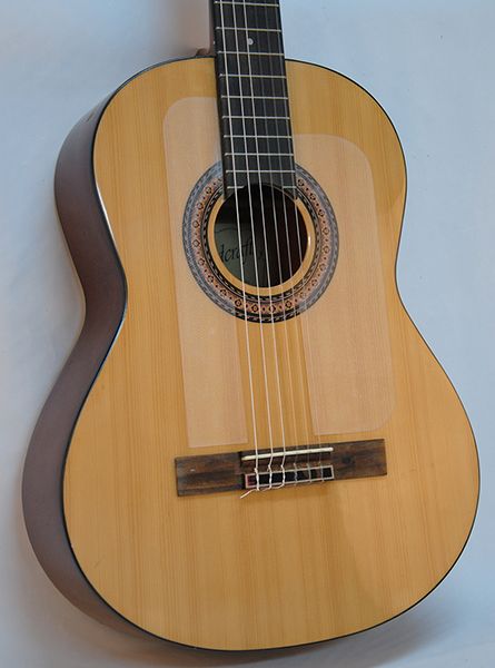 PCG-1 Защитная накладка для классической гитары, Мозеръ