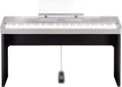 Roland KSC-76-BK