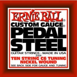 Ernie Ball P02501