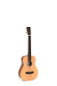 <h2>Акустическая гитара Sigma TM-12+</h2>