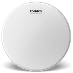 Evans B14UV2  UV2 14" 