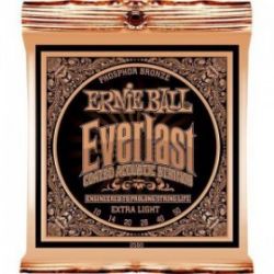 Ernie Ball P02550