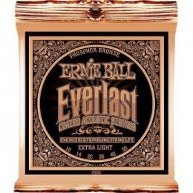 Ernie Ball P02550