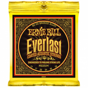Ernie Ball P02554