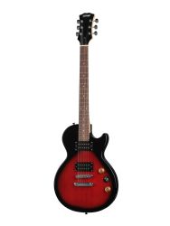 HEG500RDS LesPaul Homage