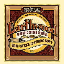 P02051 Earthwood Silk & Steel Soft  9-46, Ernie Ball