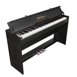 Цифровое фортепиано EMILY PIANO  D-52 BK