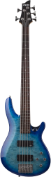 Бас-гитара SCHECTER C-5 PLUS OBB - бас-гитара 5-струнная. Цвет OBB