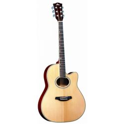 Fina Guitars FA-668C 