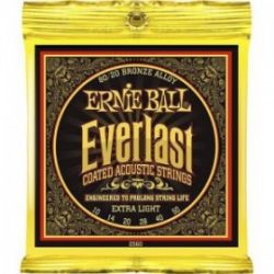 Ernie Ball P02560