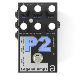 P-2 Legend Amps 2 P2 (PV-5150), AMT Electronics