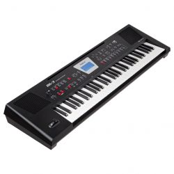 ROLAND BK-3-BK
