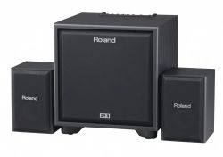 Акустическая система ROLAND CUBE MONITOR CM-220