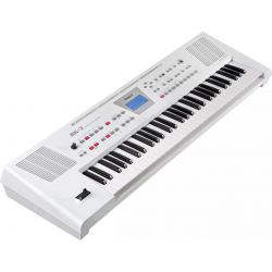 ROLAND BK-3-WH