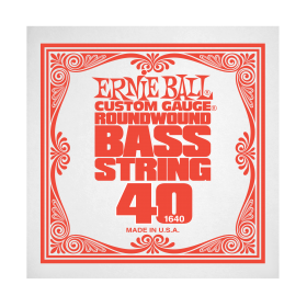 Ernie Ball P01640