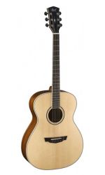 PW-320-BW-NS Акустическая гитара, с чехлом, матовая, Parkwood