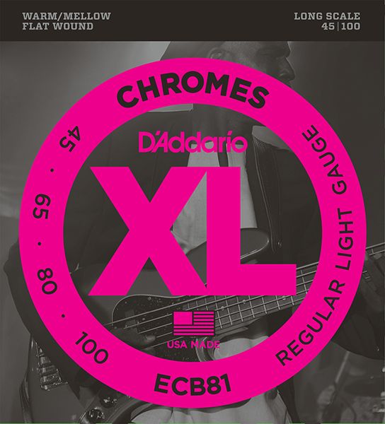 ECB81 Chromes  Light, 45-100, Long Scale, D'Addario