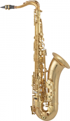 Arnolds&Sons AAS-301-TERRA  Альт-саксофон, профессиональный, верх клап F#, покрытие золотой лак