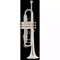 Bach LT180S43 Stradivarius  труба Bb профессиональная, лёгкая, 11,89mm, лак, с кейсом