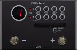 Roland TM-1 