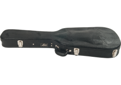 Кейс для электрогитары LAG ARK7