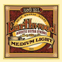 P02003 Earthwood Medium Light  Ernie Ball