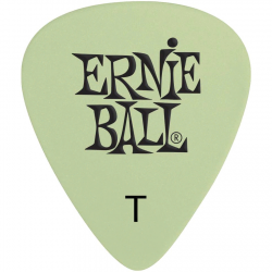 Ernie Ball P09224